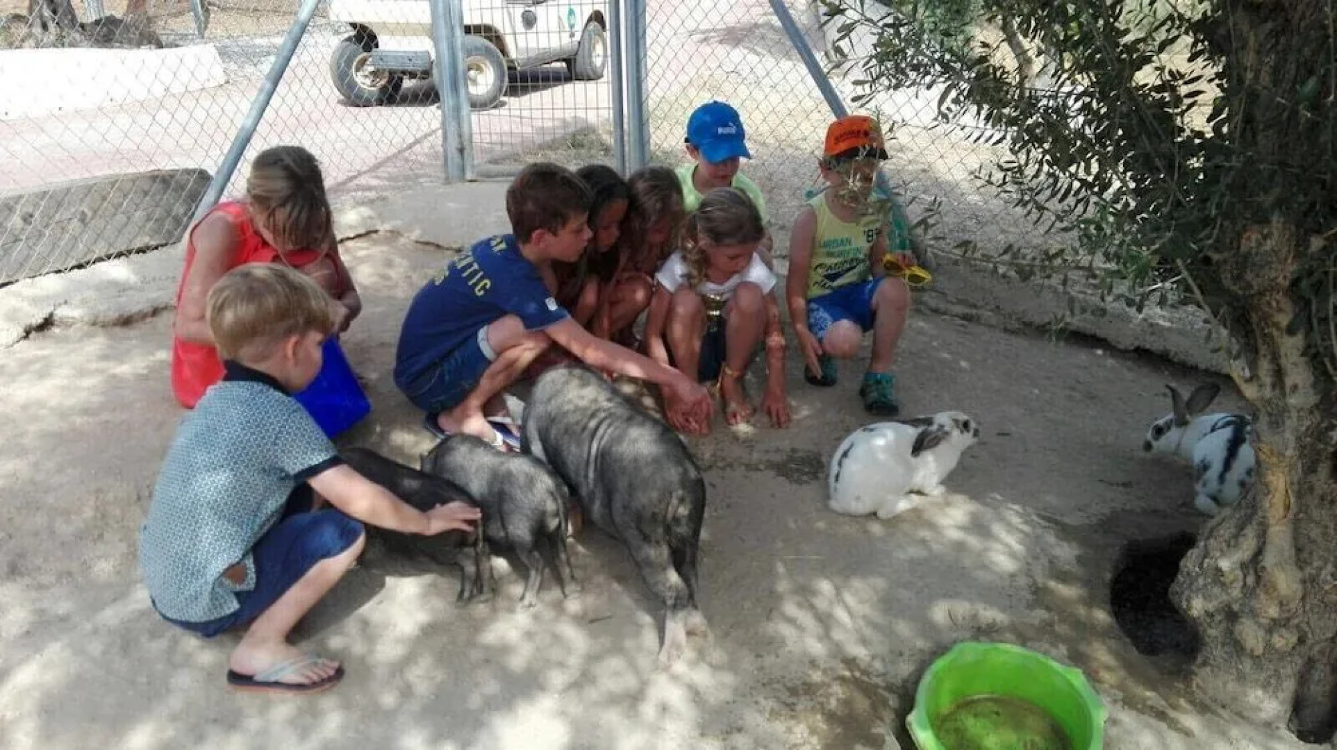 Hacienda Guaro Viejo