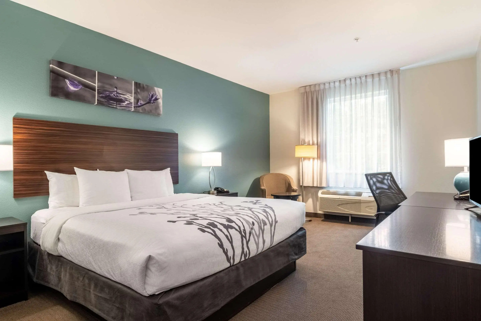 Sleep Inn and Suites at Kennesaw State University