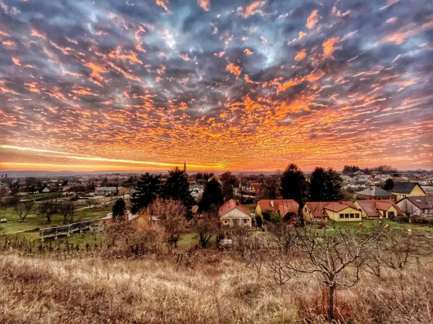 Kamocsay Vendégház