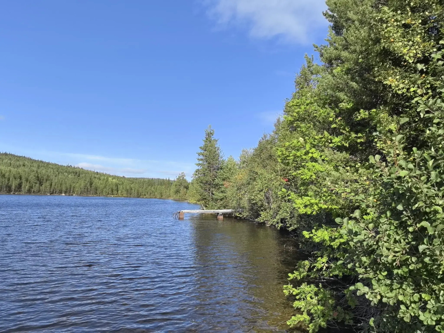 База отдыха Кускас