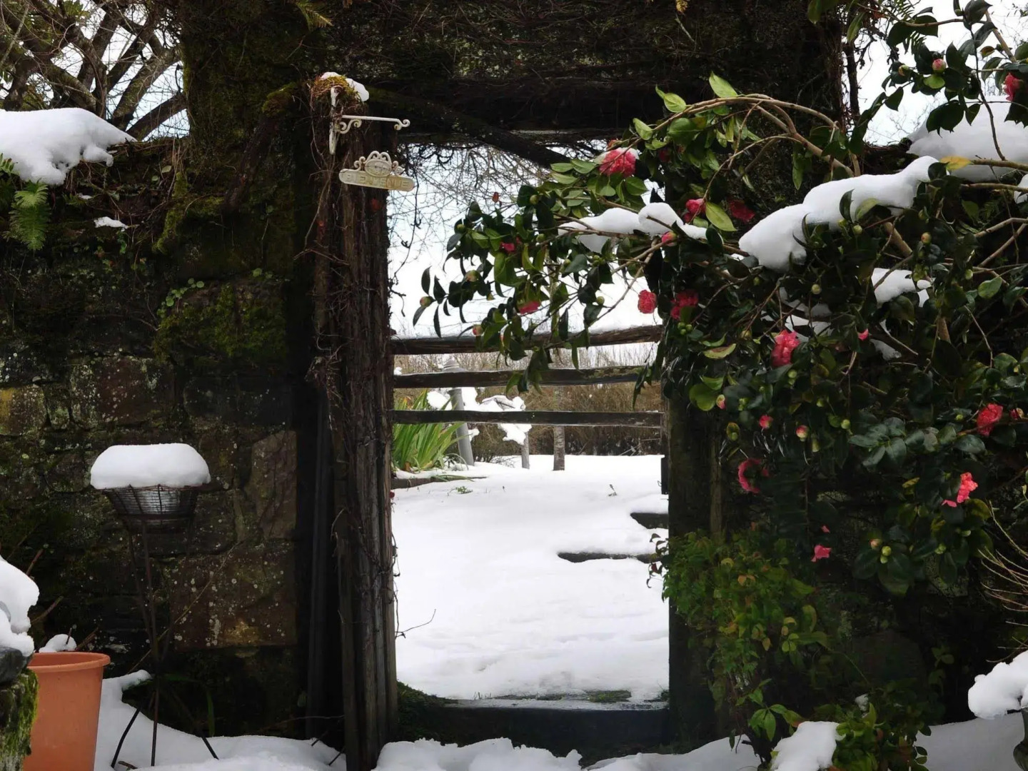 Camino Real de Selores