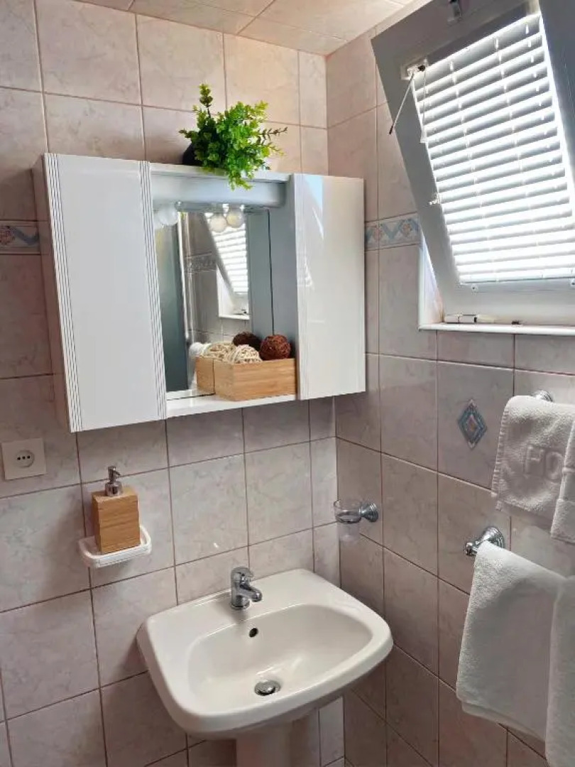 The Manzoni family 1