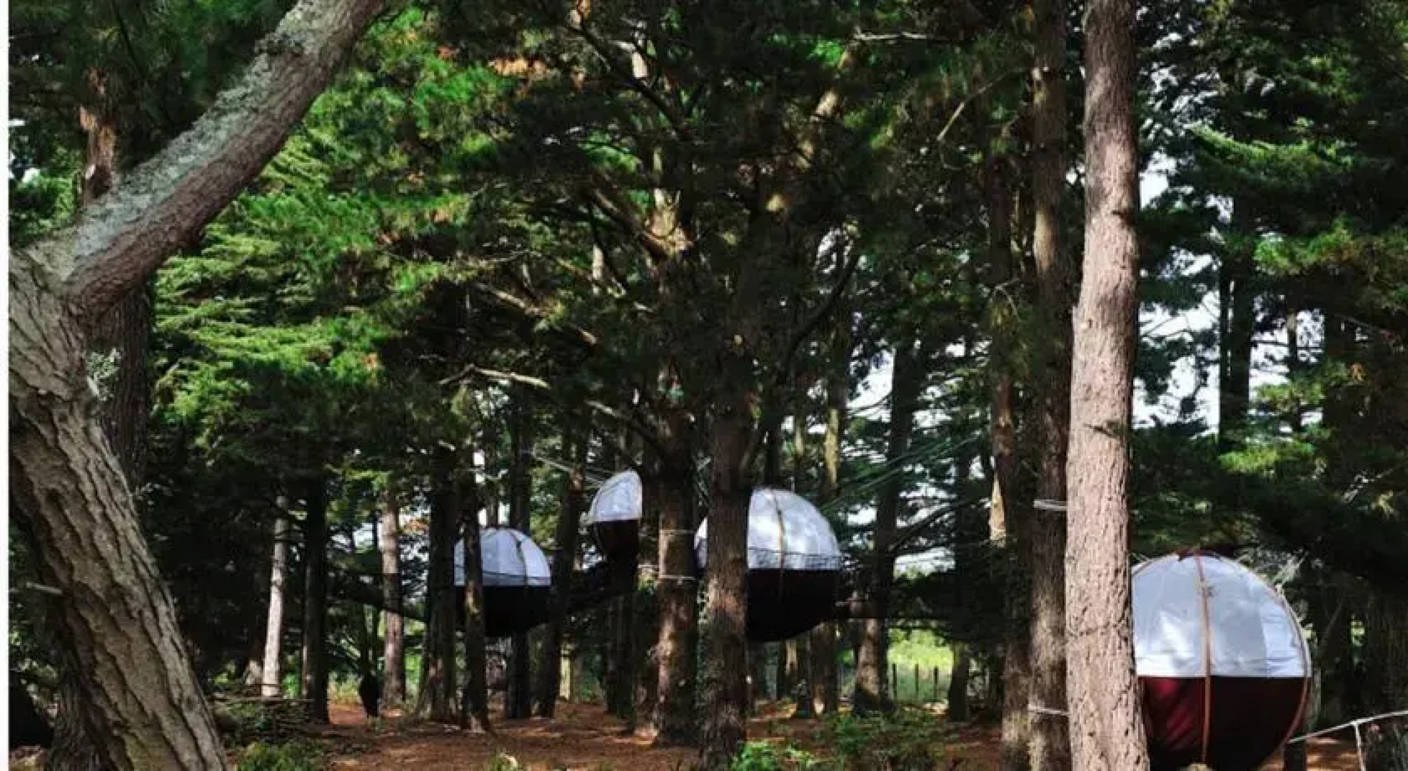 Les Nids du Parcabout