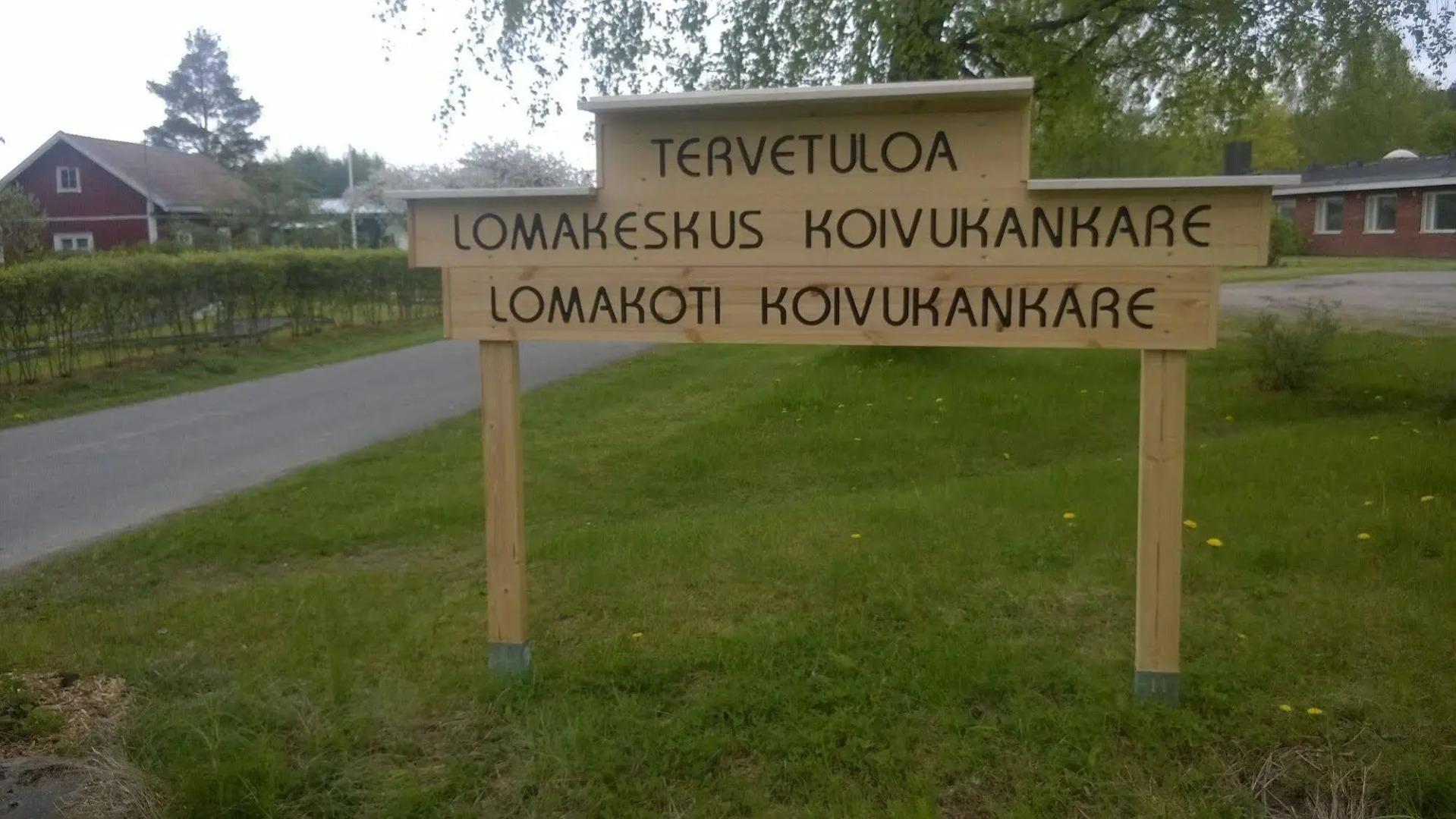 Koivukankare