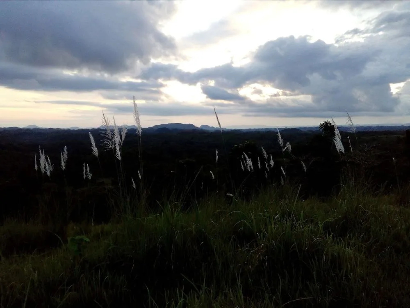 Batuan Hammock Hostel