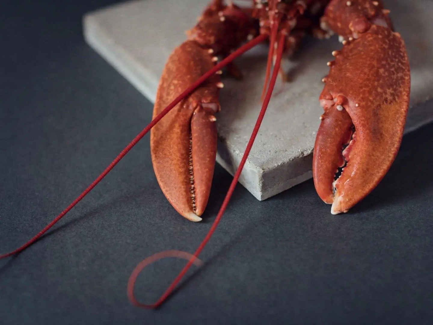 Virginia House Hotel