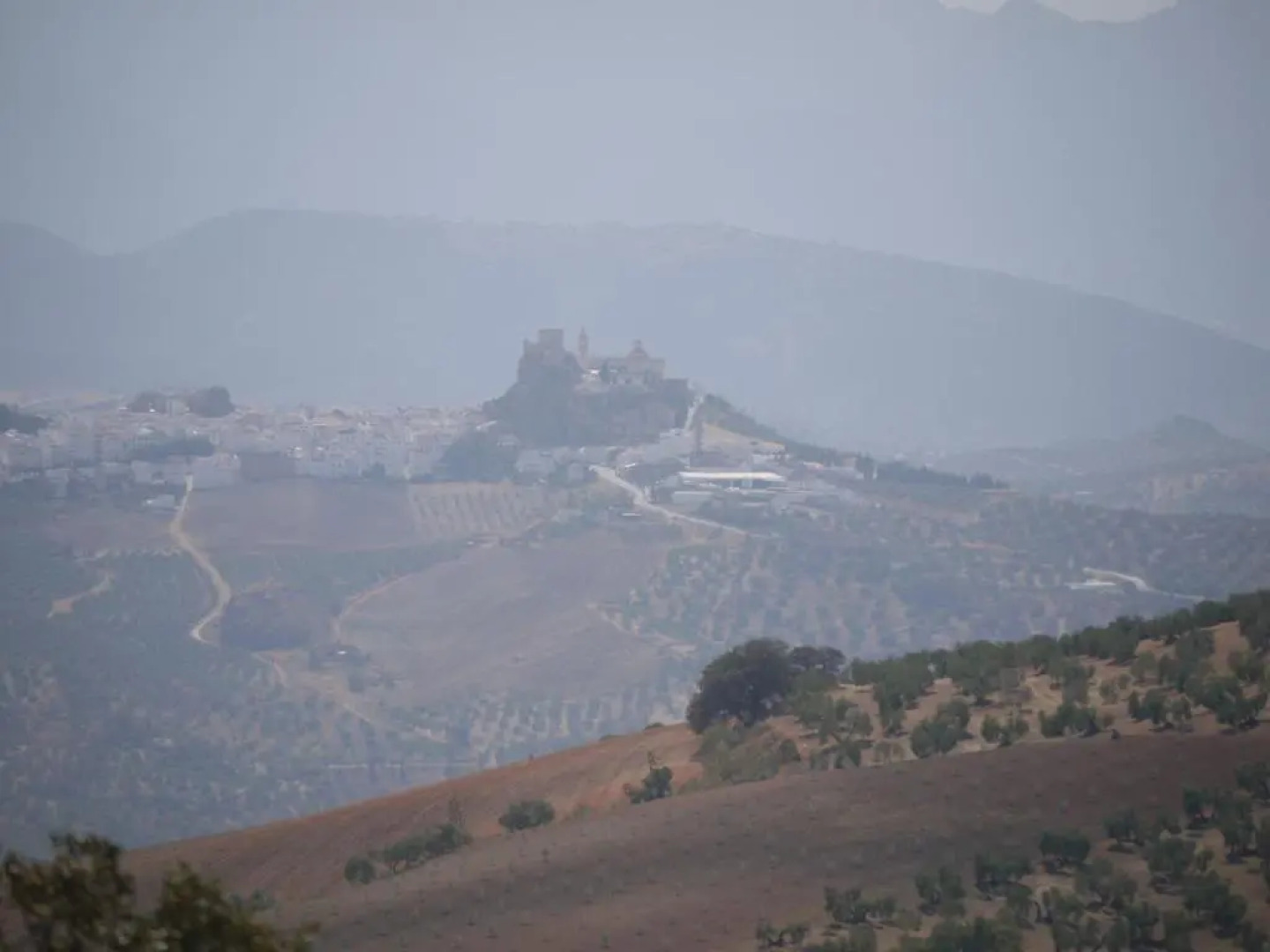 No 31 Olvera Bed & Breakfast