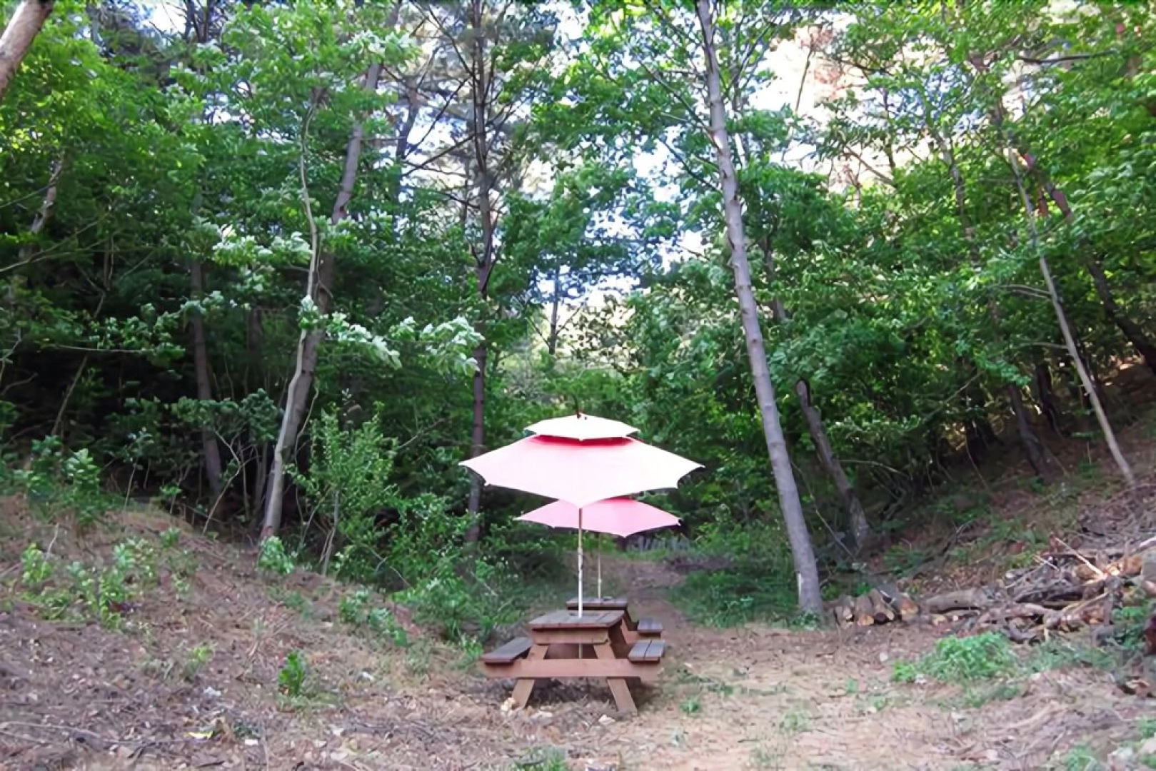 Seosan Pinehealing Pension