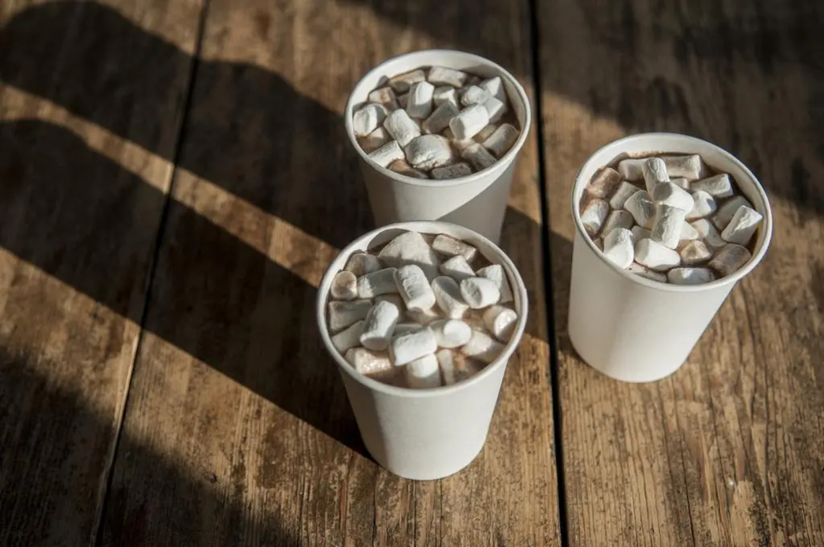 52°17' Travelcenter & Hostel