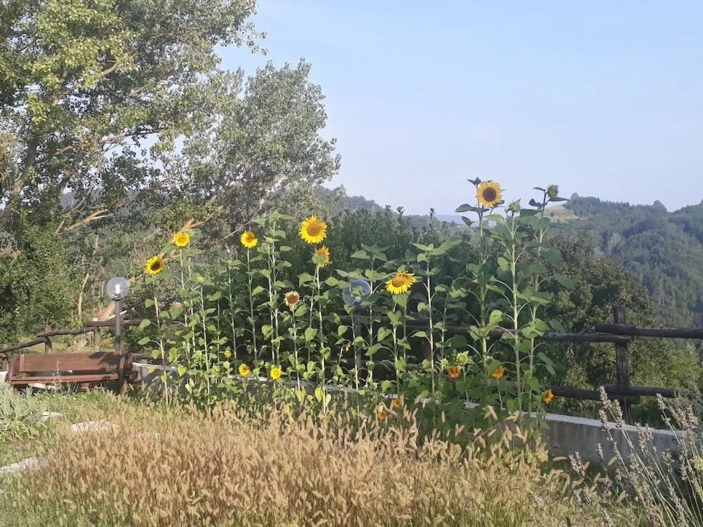 B&B Cascina Sant'Elena