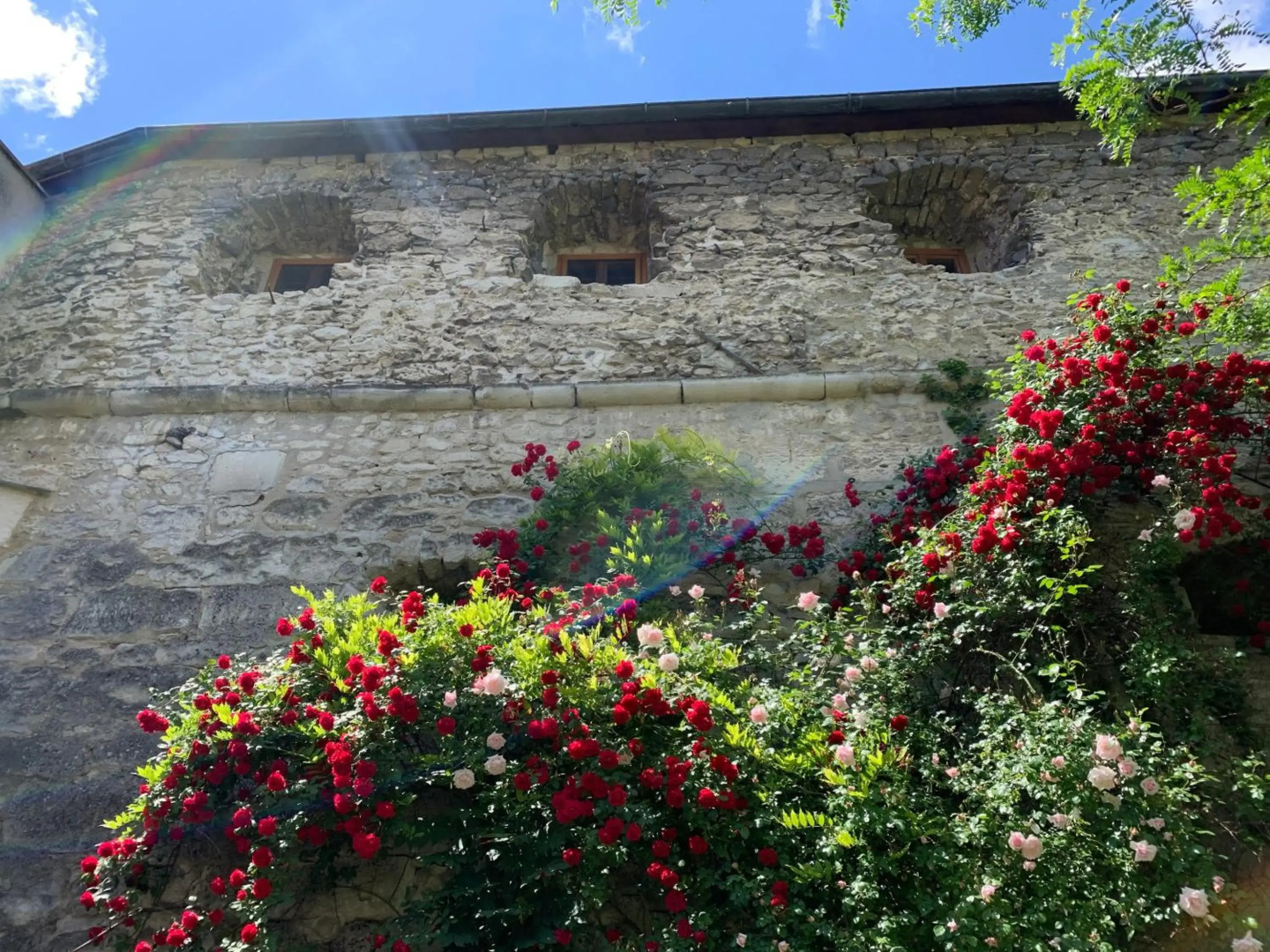 Turm am Schlosspark Eisenstadt