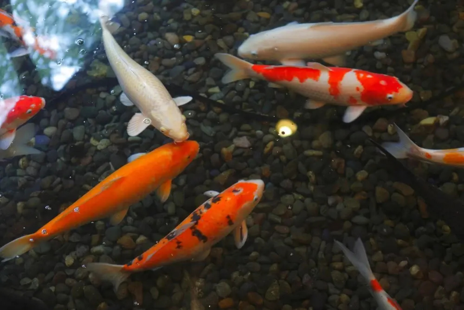 Yamashiro Onsen Midori no Yado Bansyoukaku