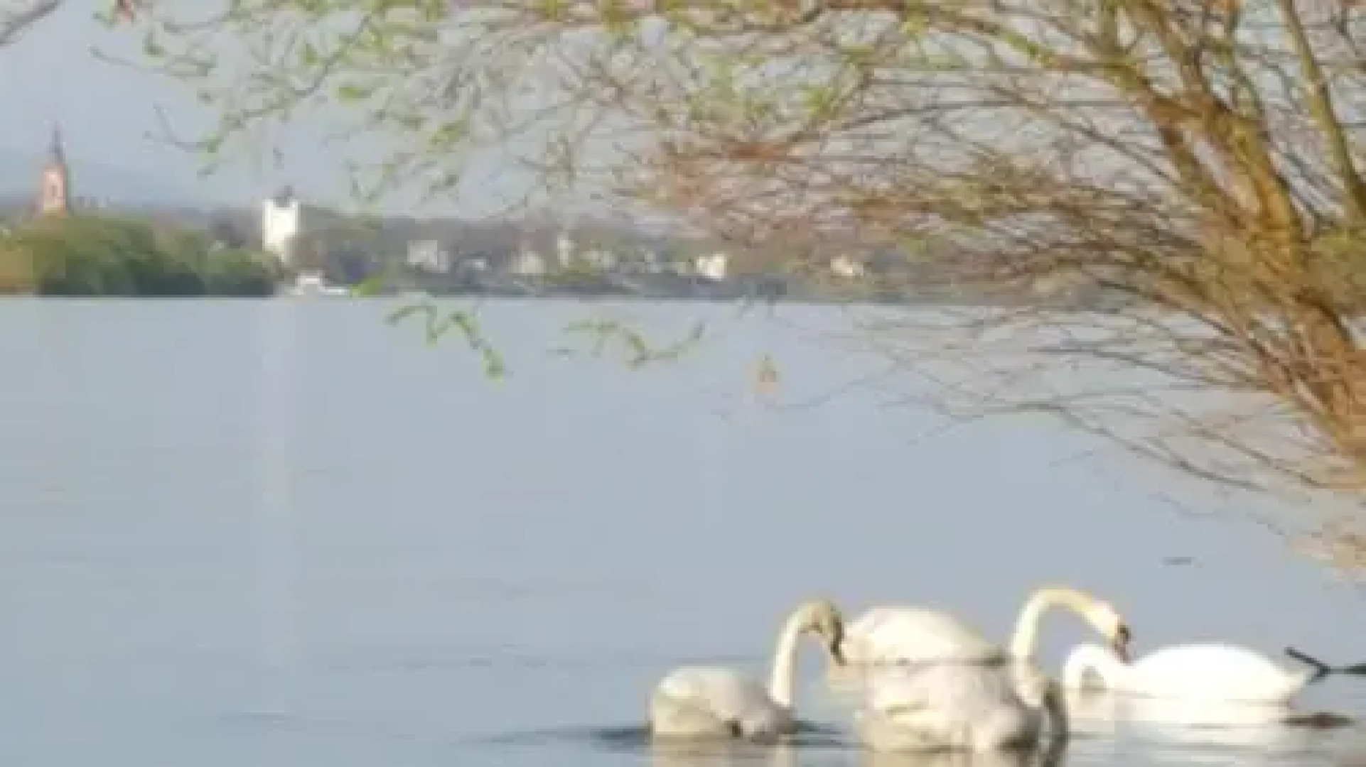 Ruthmann-Rheinblick Hotel