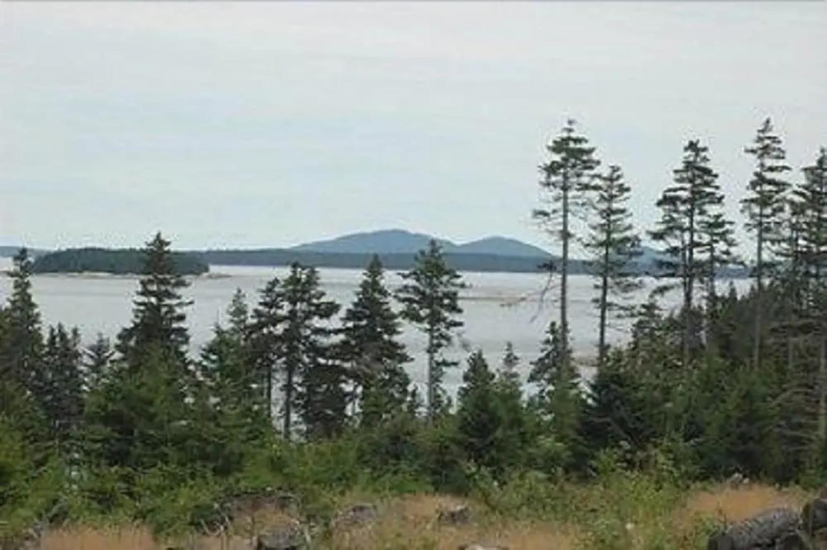 Frenchboro Point House - Four Bedroom Home