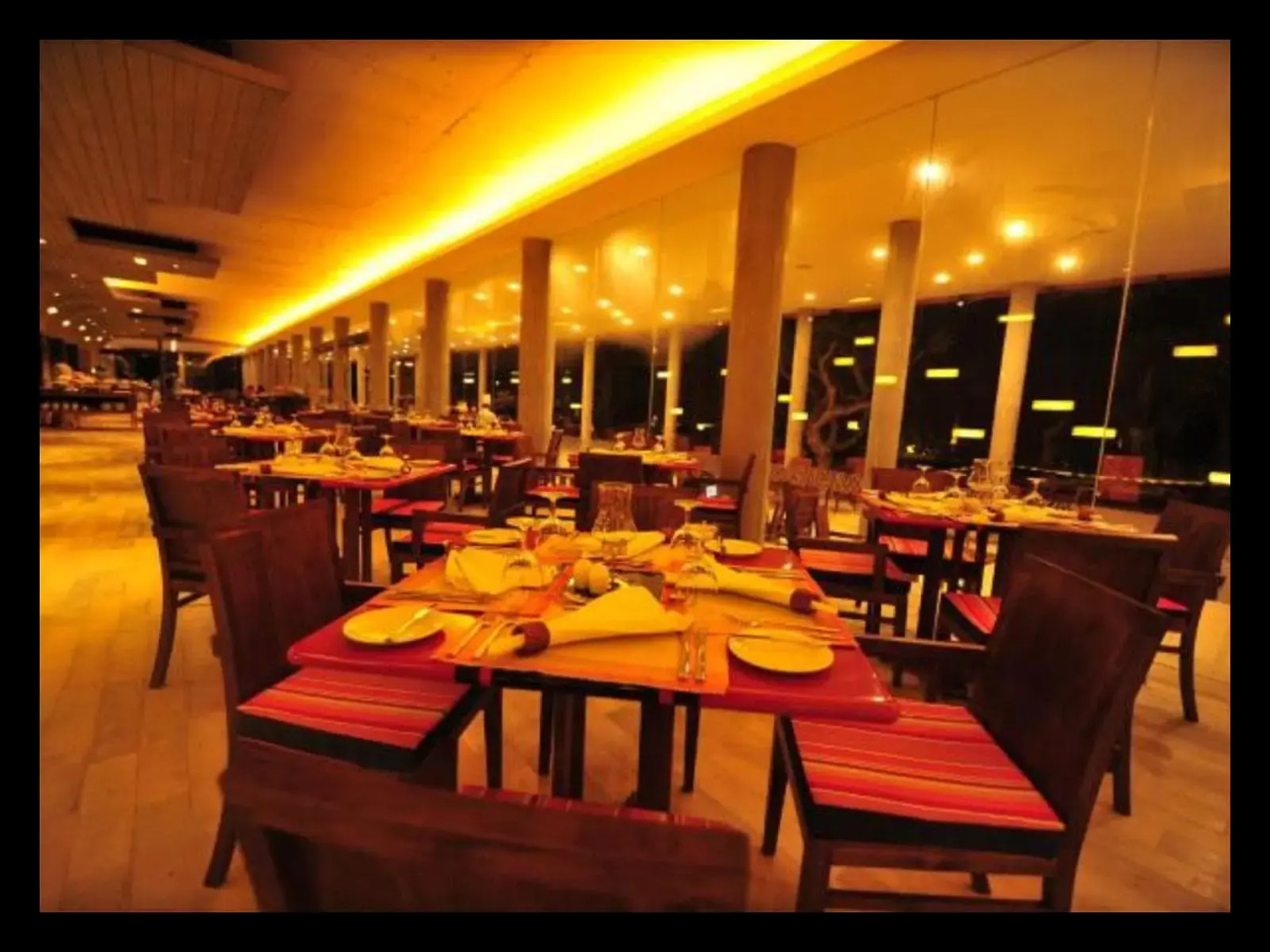 Hikka Tranz by Cinnamon