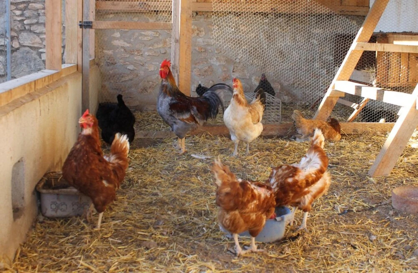 Casa Rural Els Matalapers