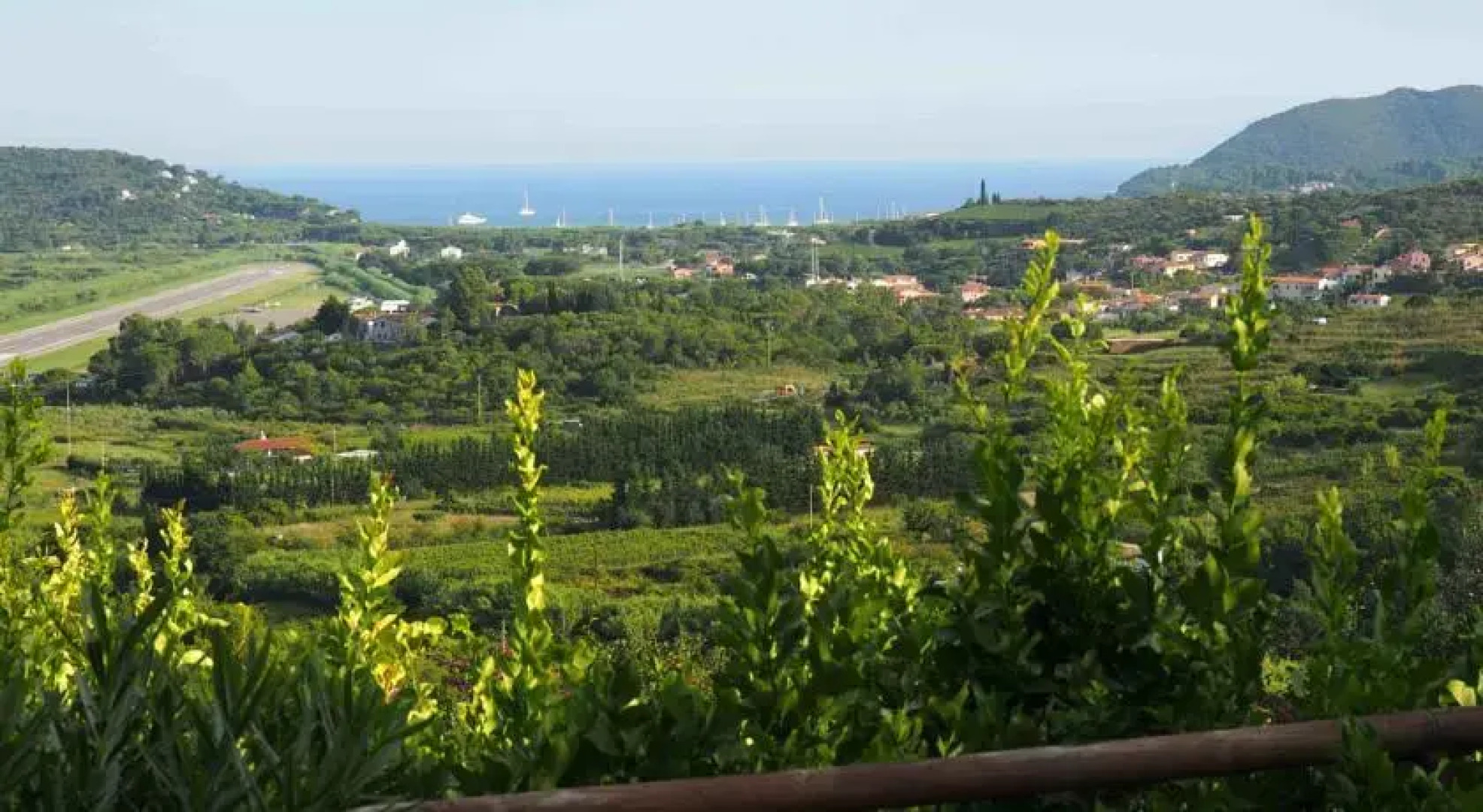 Sun Paradise Apartment