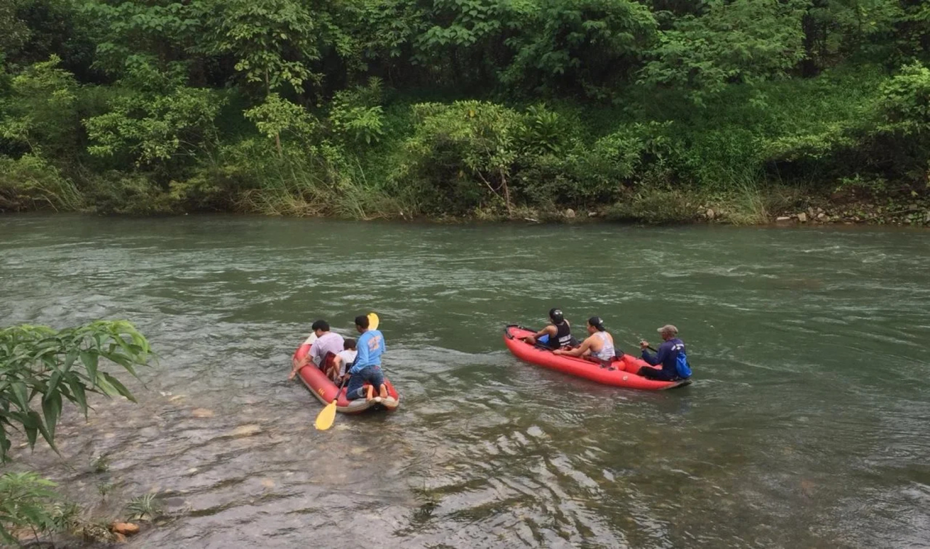 Khao Sok Evergreen House
