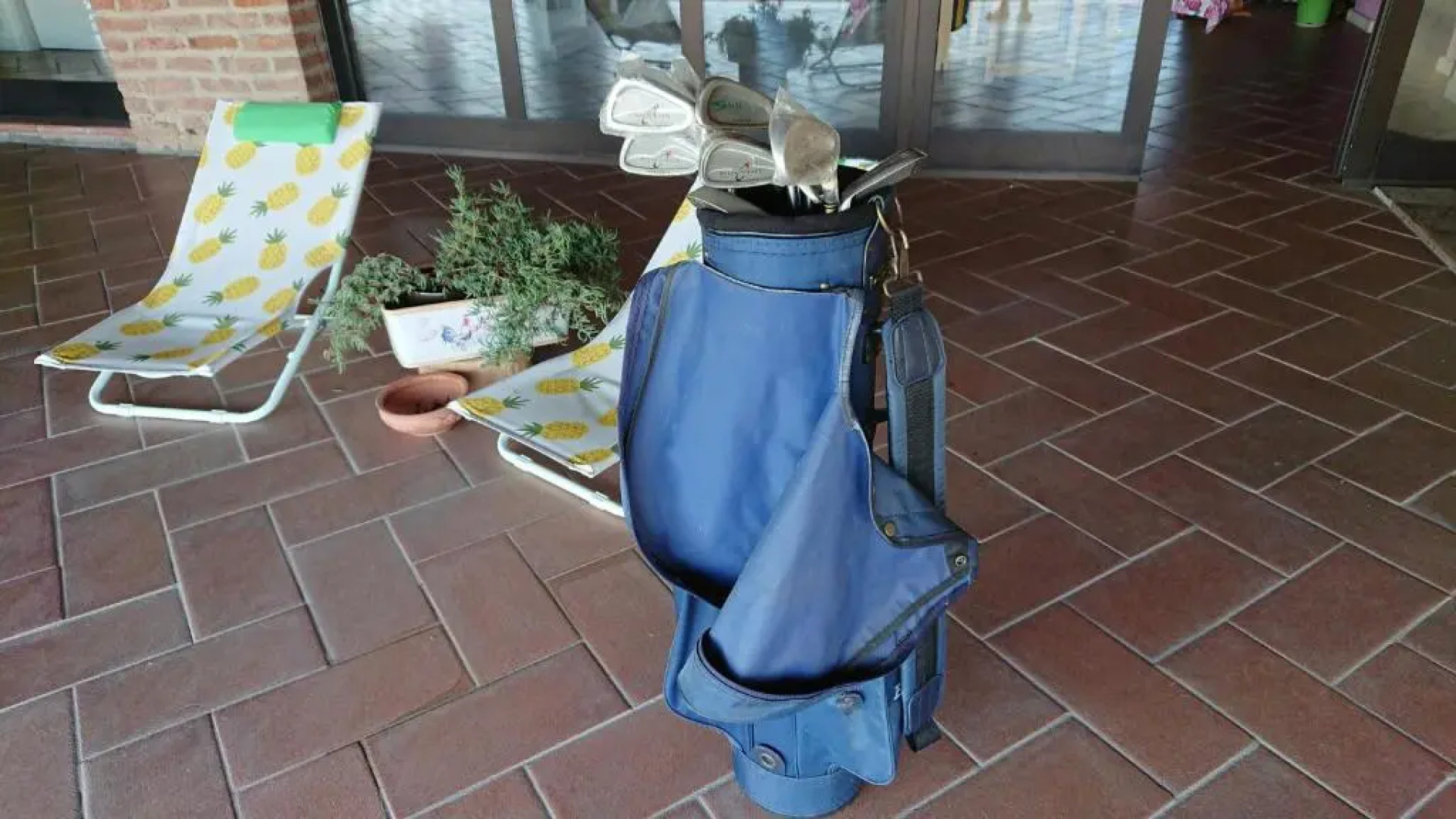 B&B Il Loto Energetic Bed & Breakfast