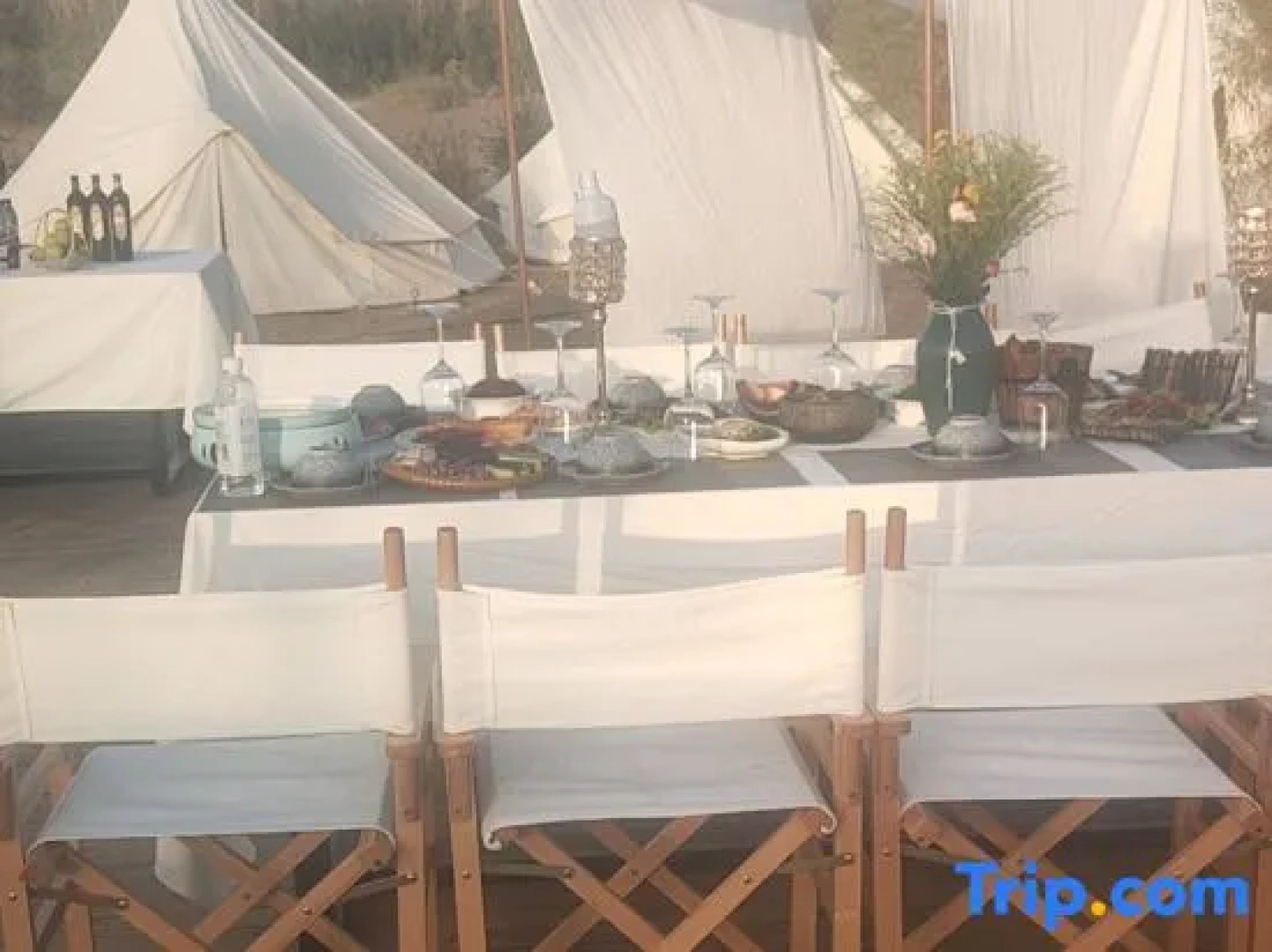 Moon tribe camping base