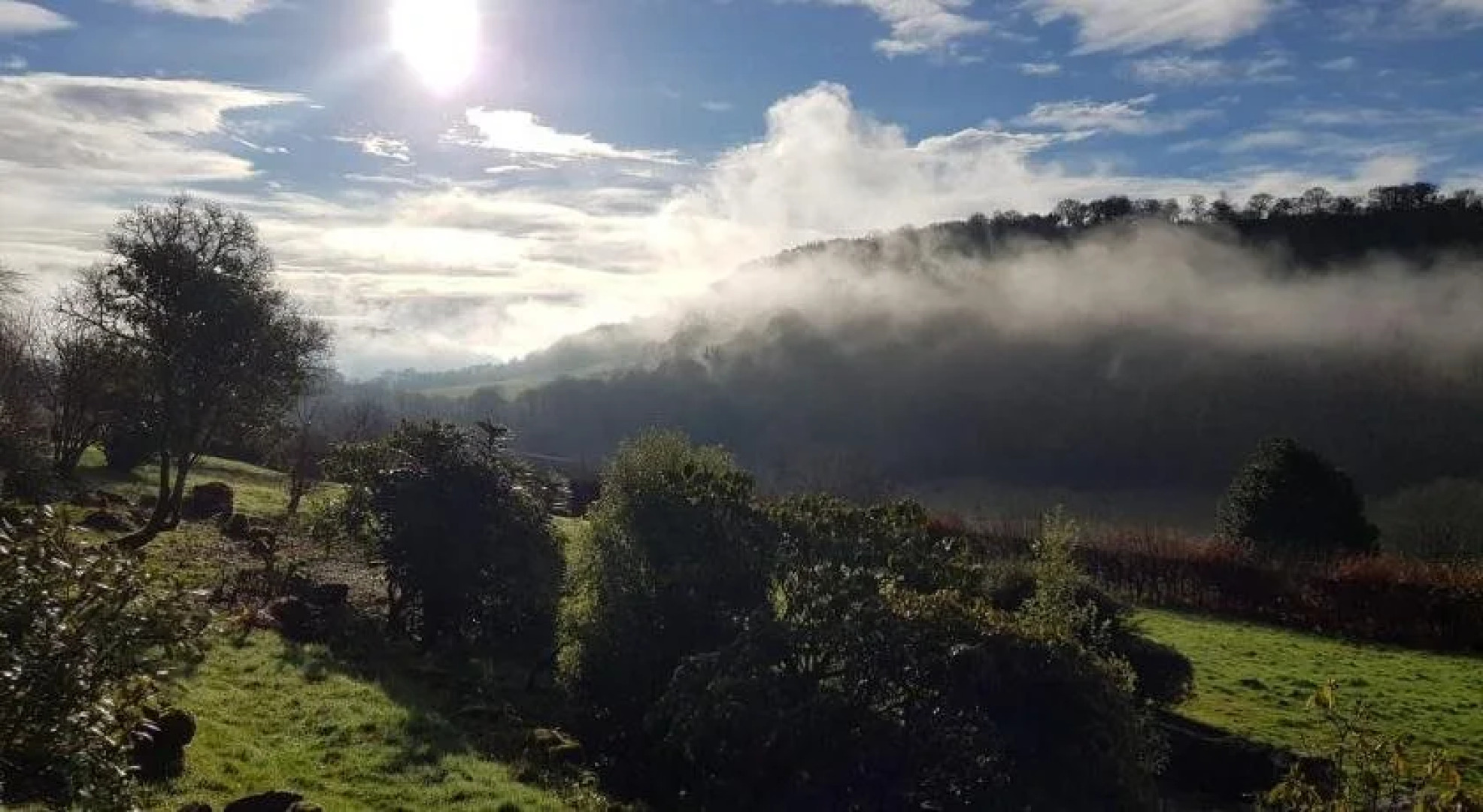 Eastwrey Barton - Guest house