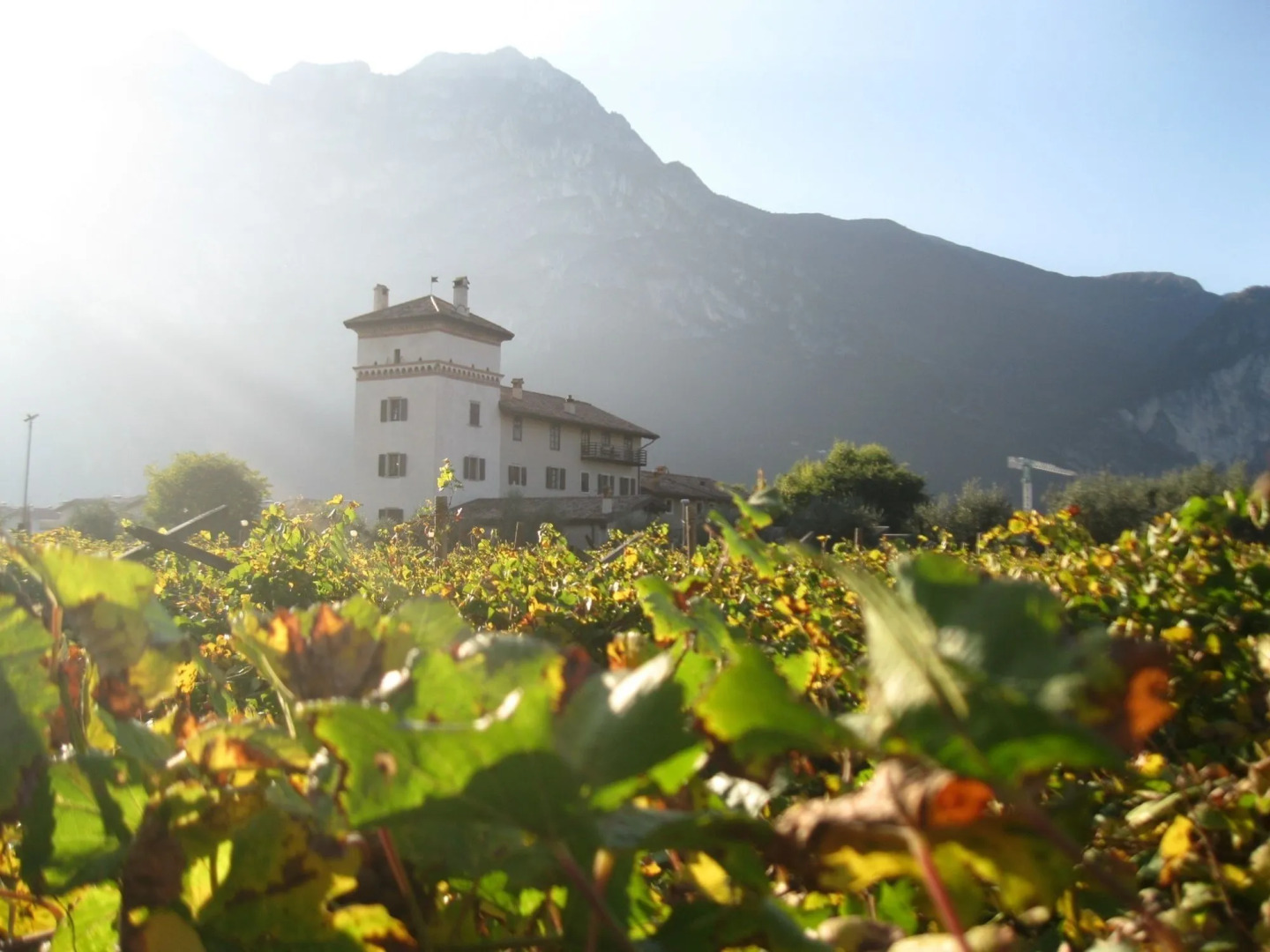 Residence La Colombera