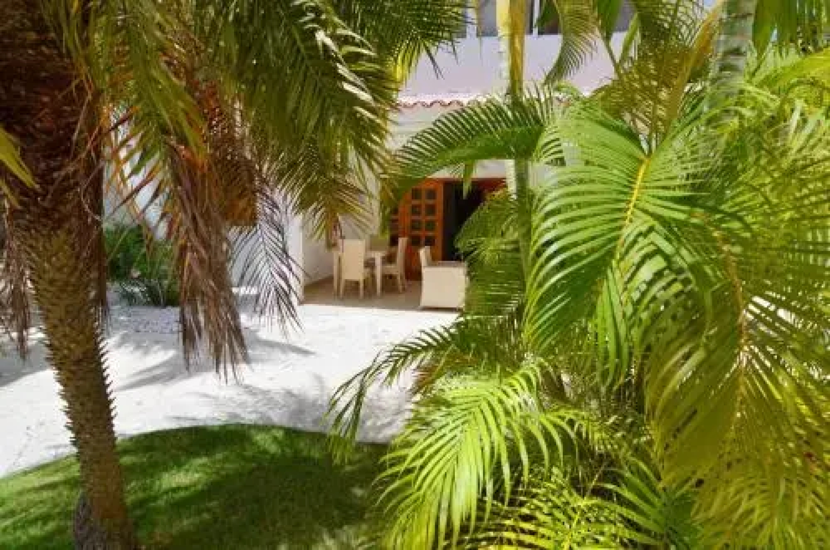 Beach House Piña Colada Ocean View