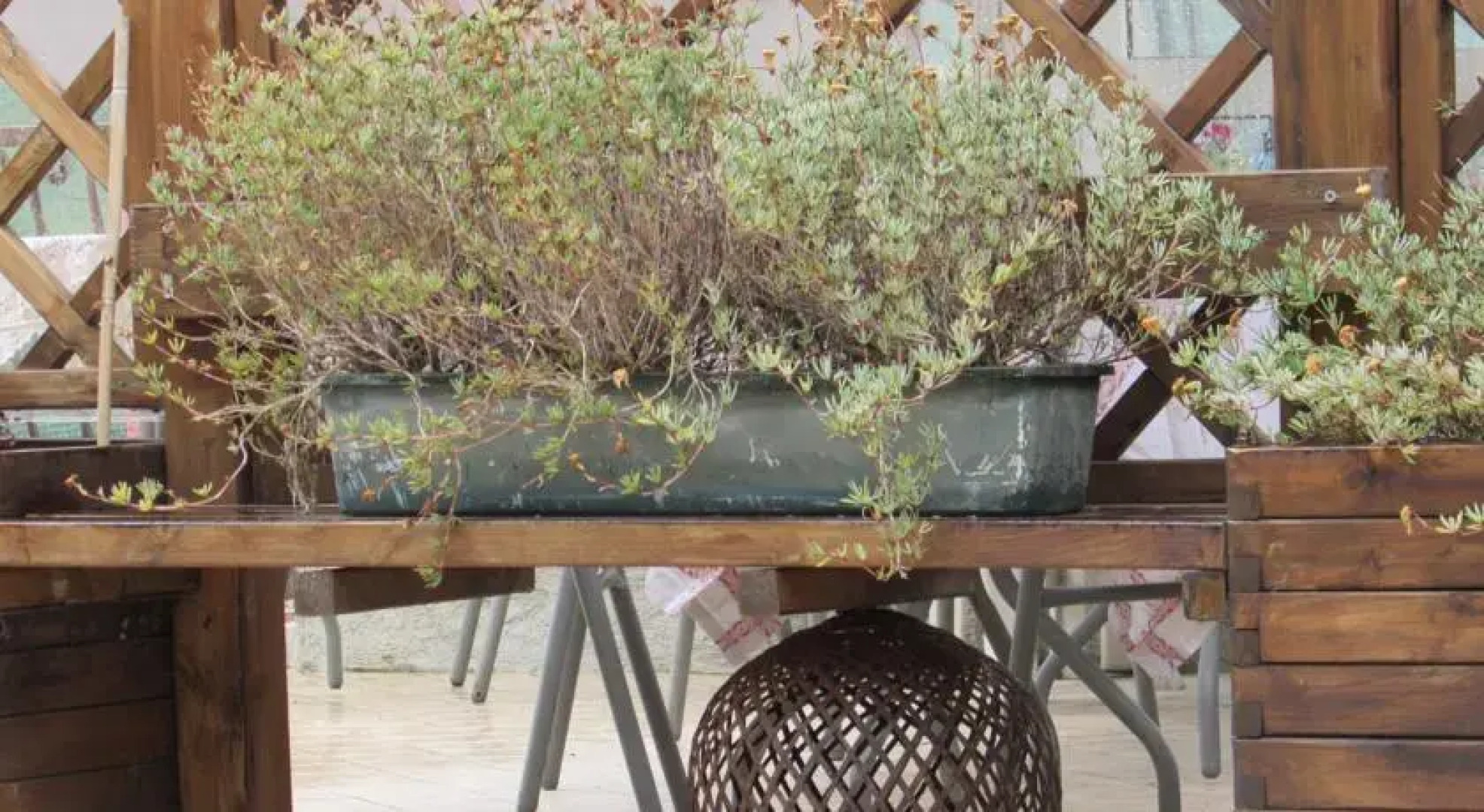 Bed and Breakfast La Serra