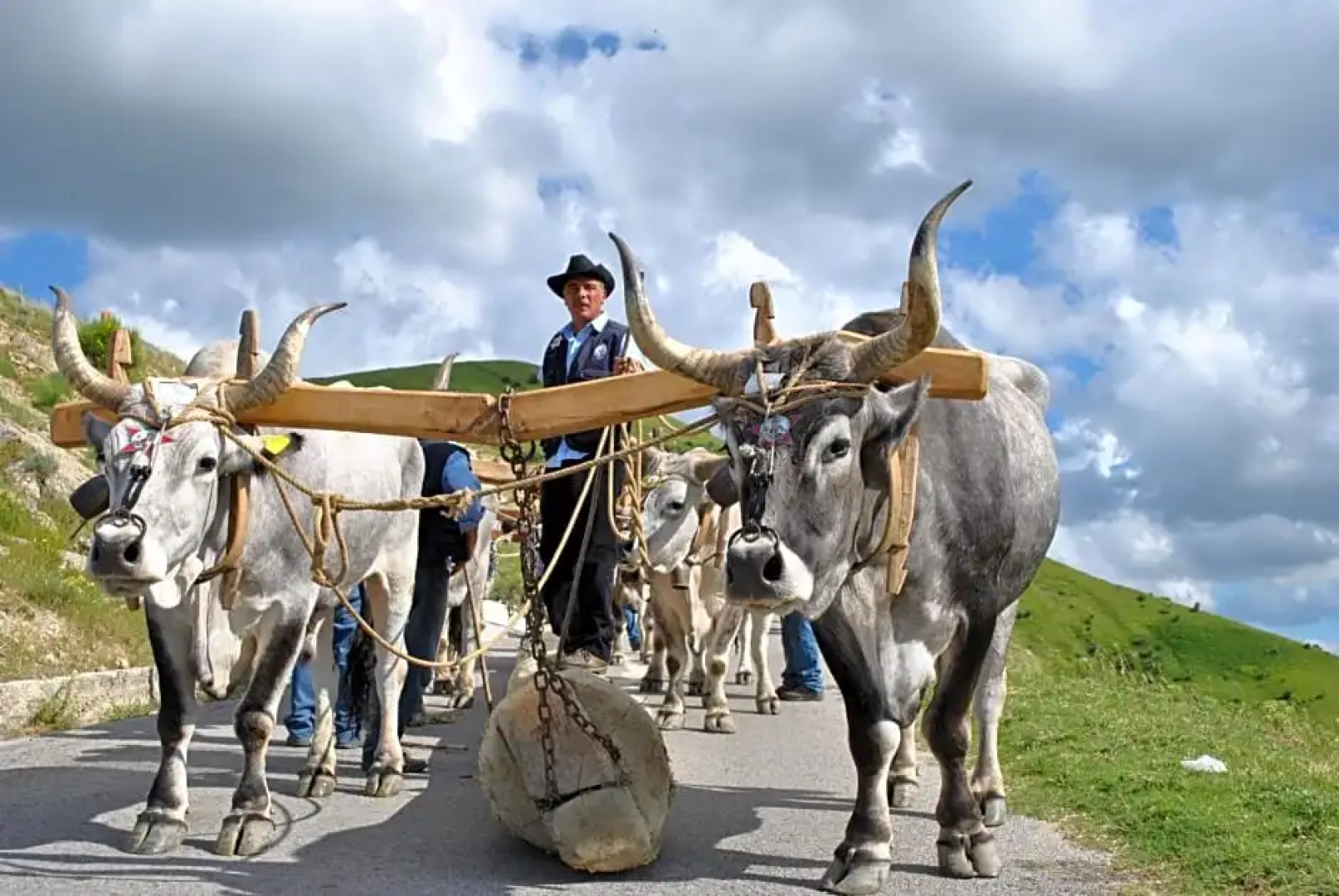 B&B La Dimora del Contadino