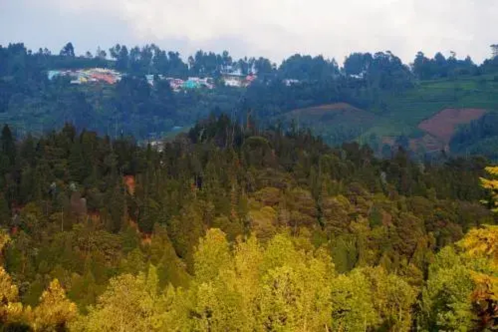 The Clive and Curzon