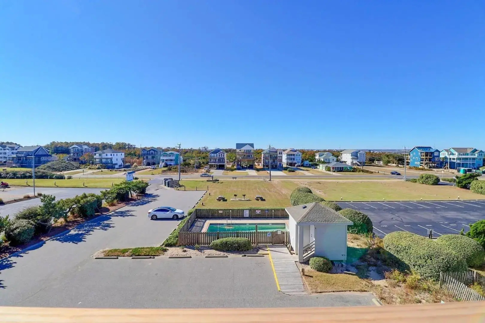 YC301 - Life's Porpoise