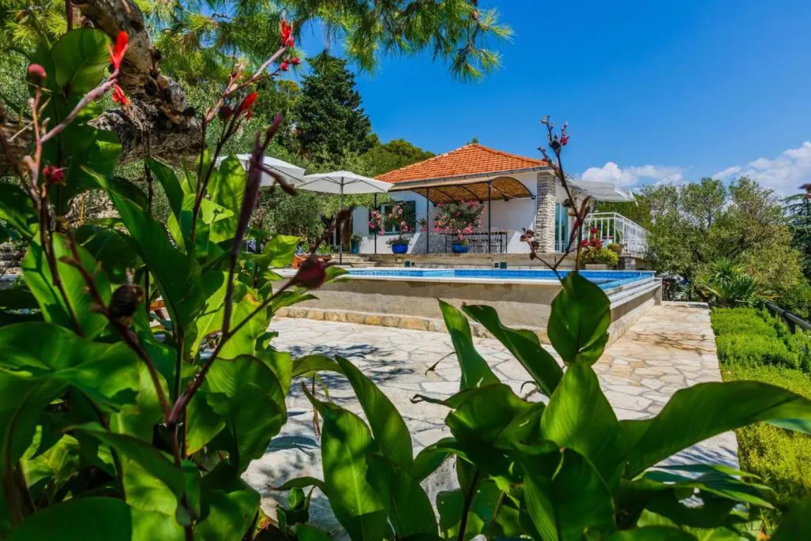 Villa Paladin - Spacious Villa with Pool near Garden Resort - 7 Min walk