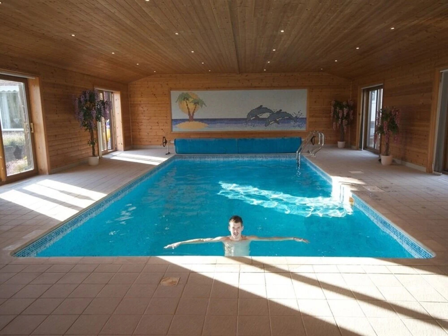 Treetops Cottages & Spa