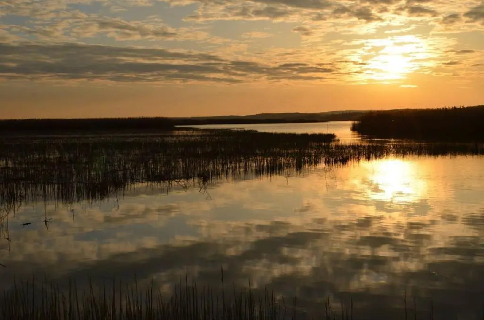 Sunshine Apartment Velence