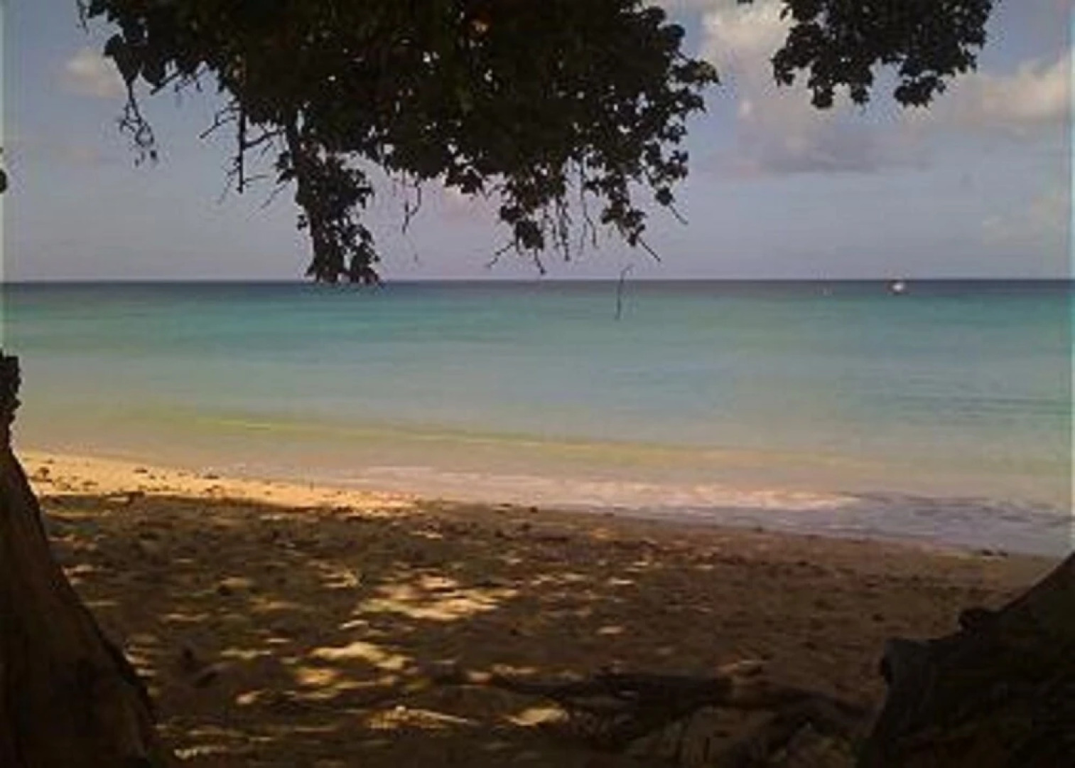 Barbados Sungold House Ginger Lilly - Two Bedroom Home