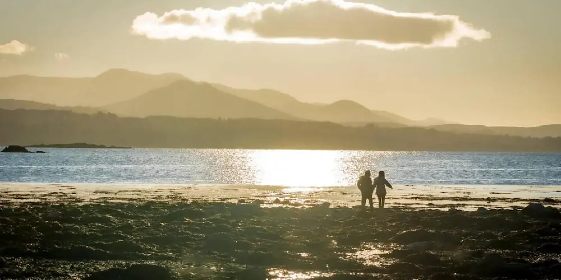 Newly Renovated, Stylish Self-catering Apartment