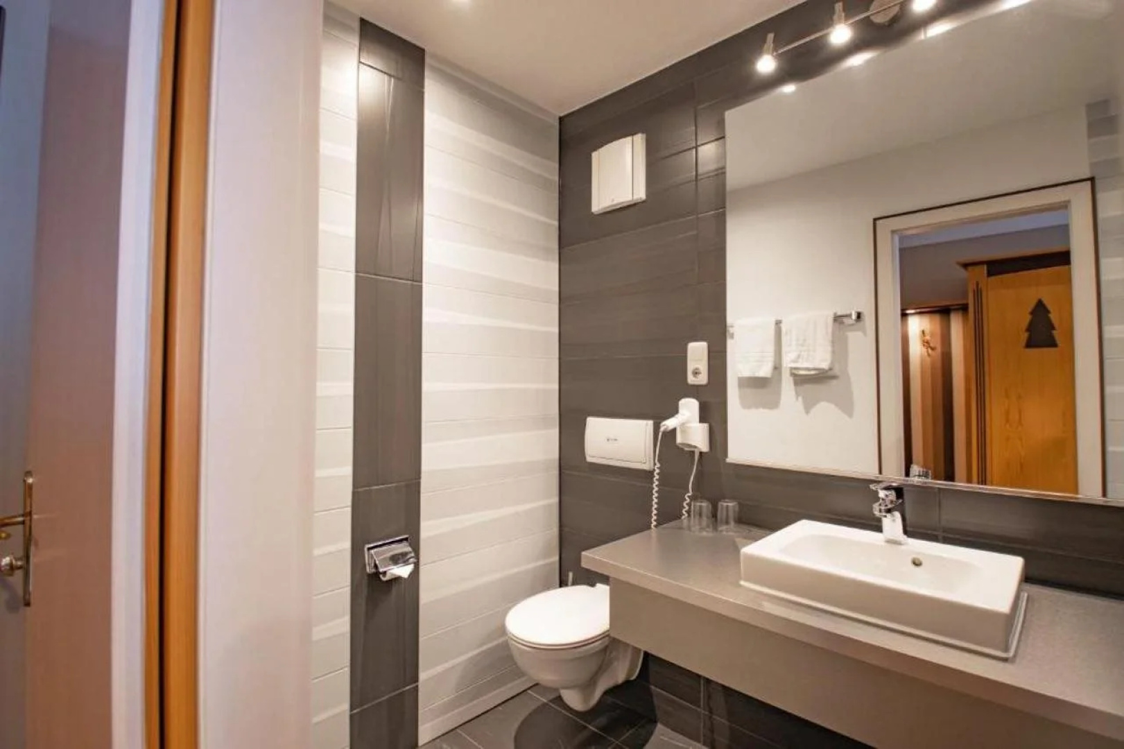 Hotel Tanne