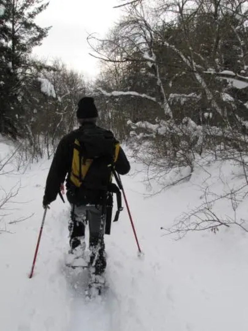 House Les chalets shangrila