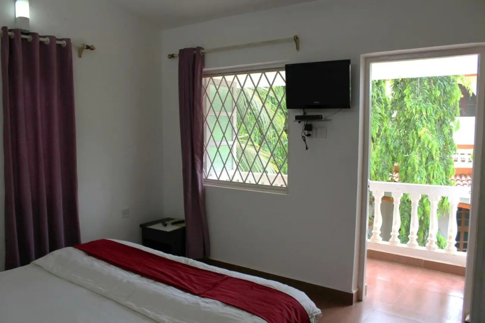 Macedo Palms Lemonmint