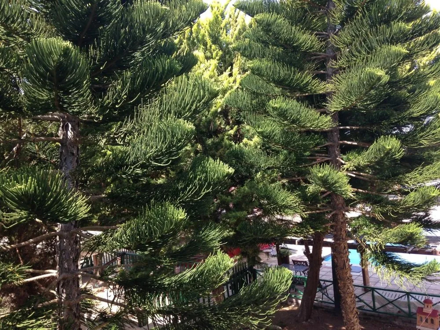 Anastasia Holiday Apartments