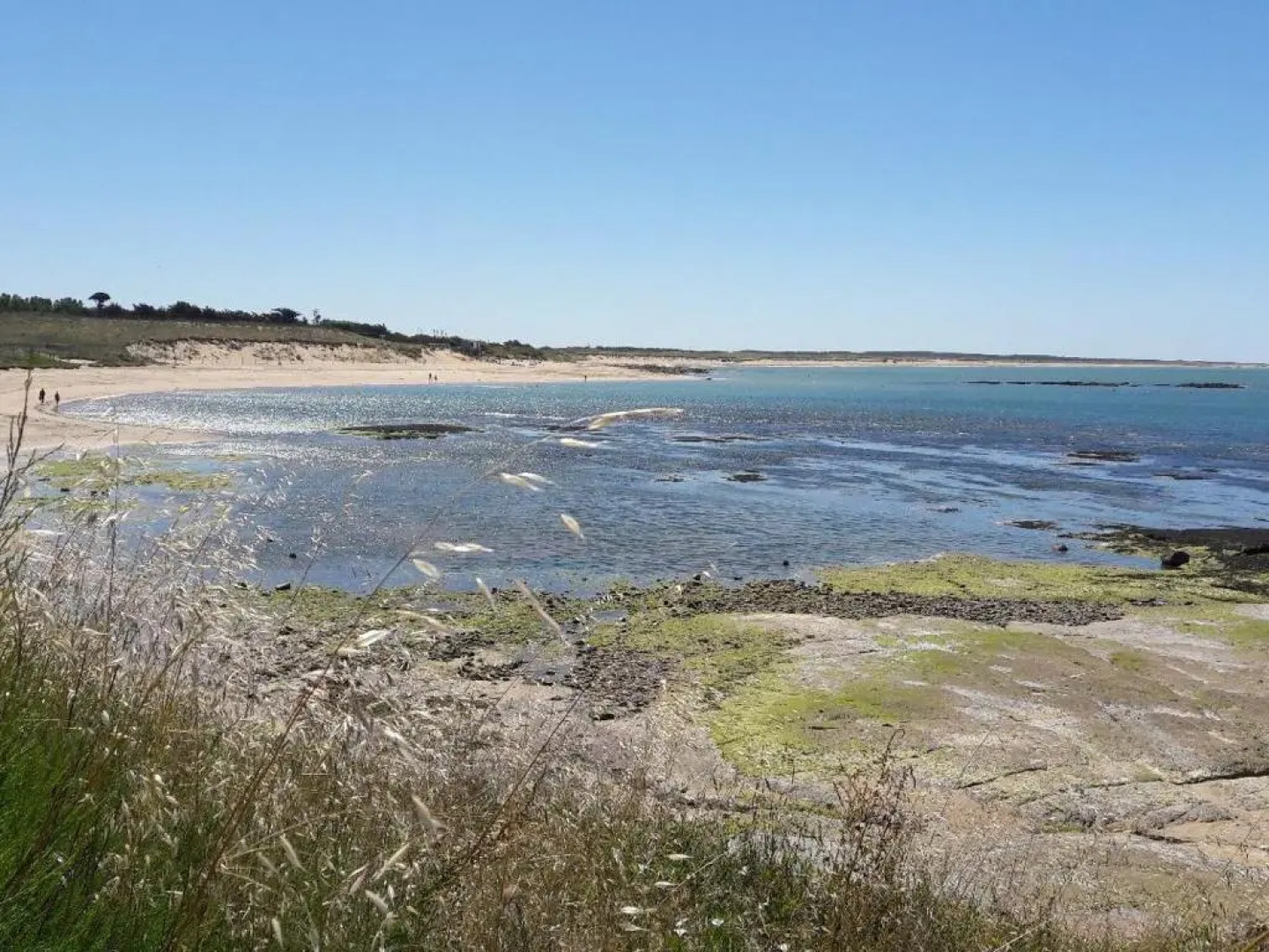 Le Temps d'une Pause