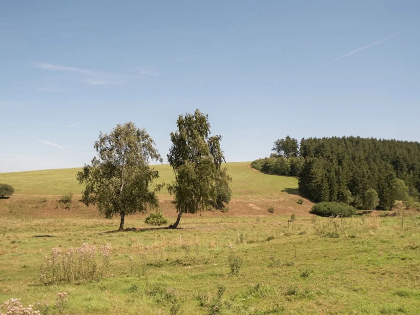 Tempting Holiday Home in Gntersberge for Romantic Getaway