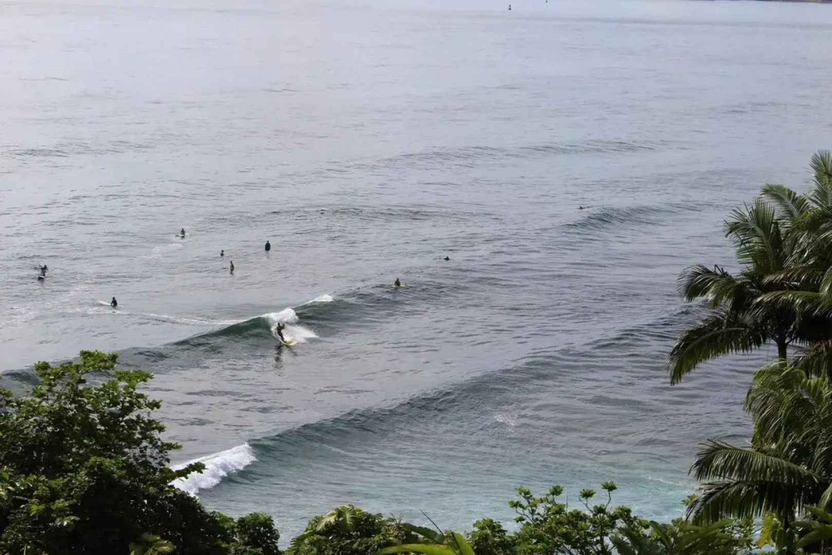 希洛火努利湾住宿加早餐旅馆(Hilo Honolii Bay Bed and Breakfast)