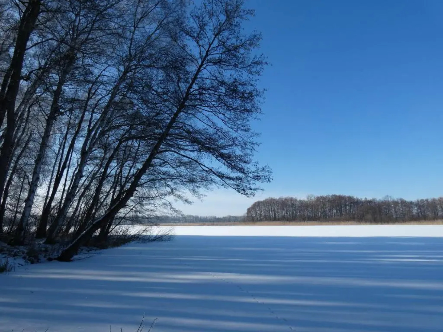 Ferienhaus mit 2 FeWo in Mecklenburg