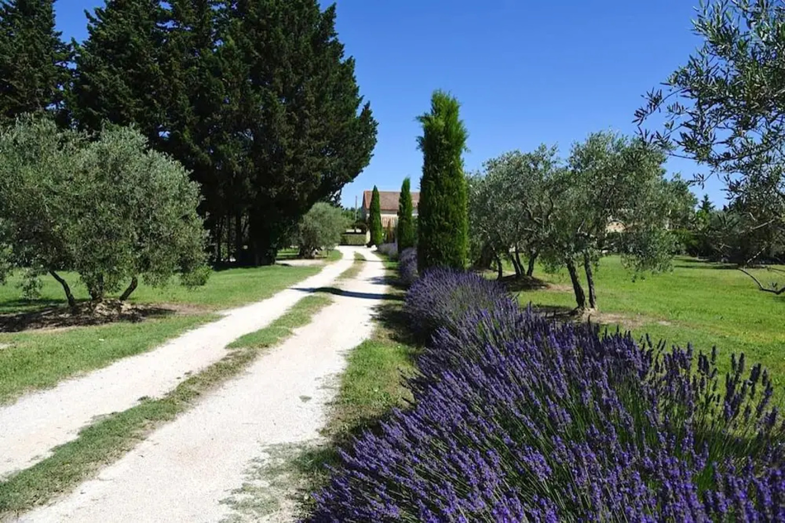 Apartment With 2 Bedrooms in Monteux, With Shared Pool, Enclosed Garden and Wifi - 80 km From the Beach