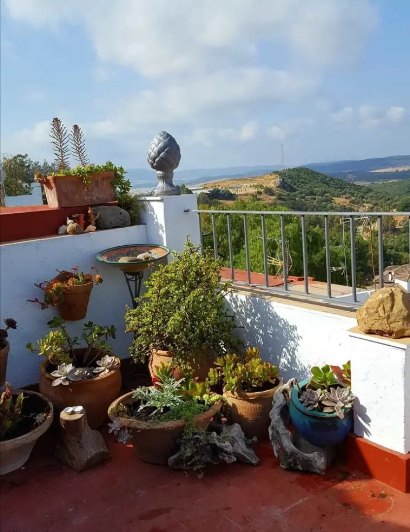 The Balcony