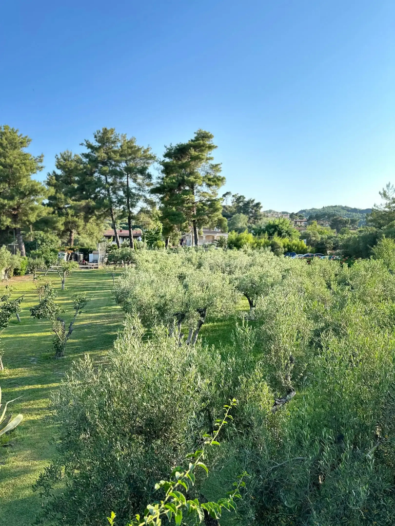 Seafront Villa Glaros