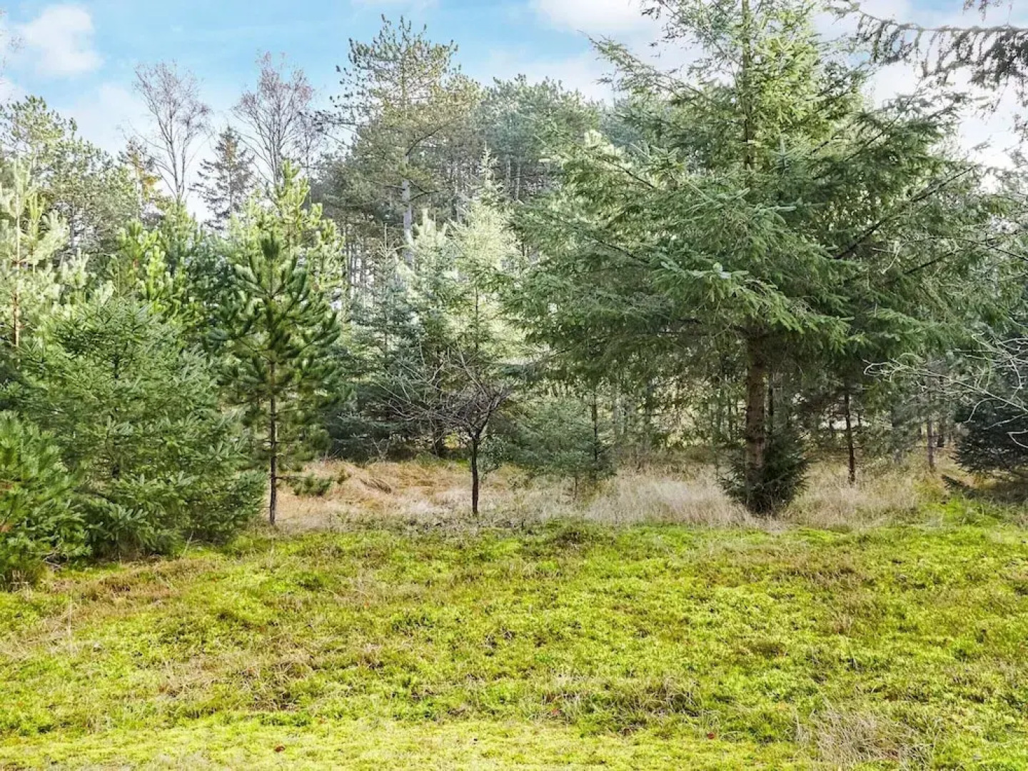 4 Person Holiday Home in Store Fuglede-by Traum