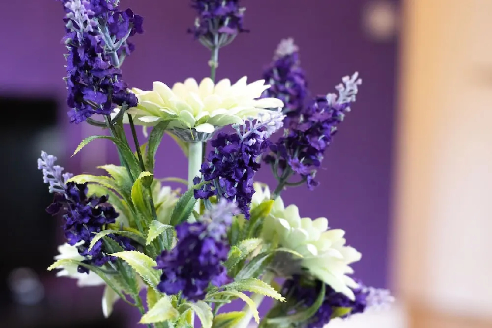 The Ivy Serviced Apartments