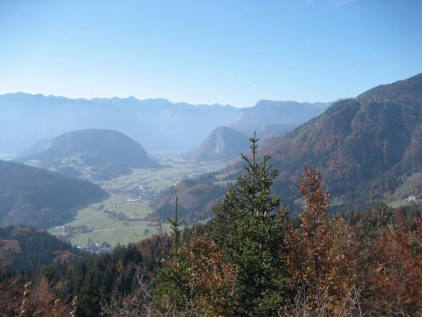 Apartments Pod Rodico